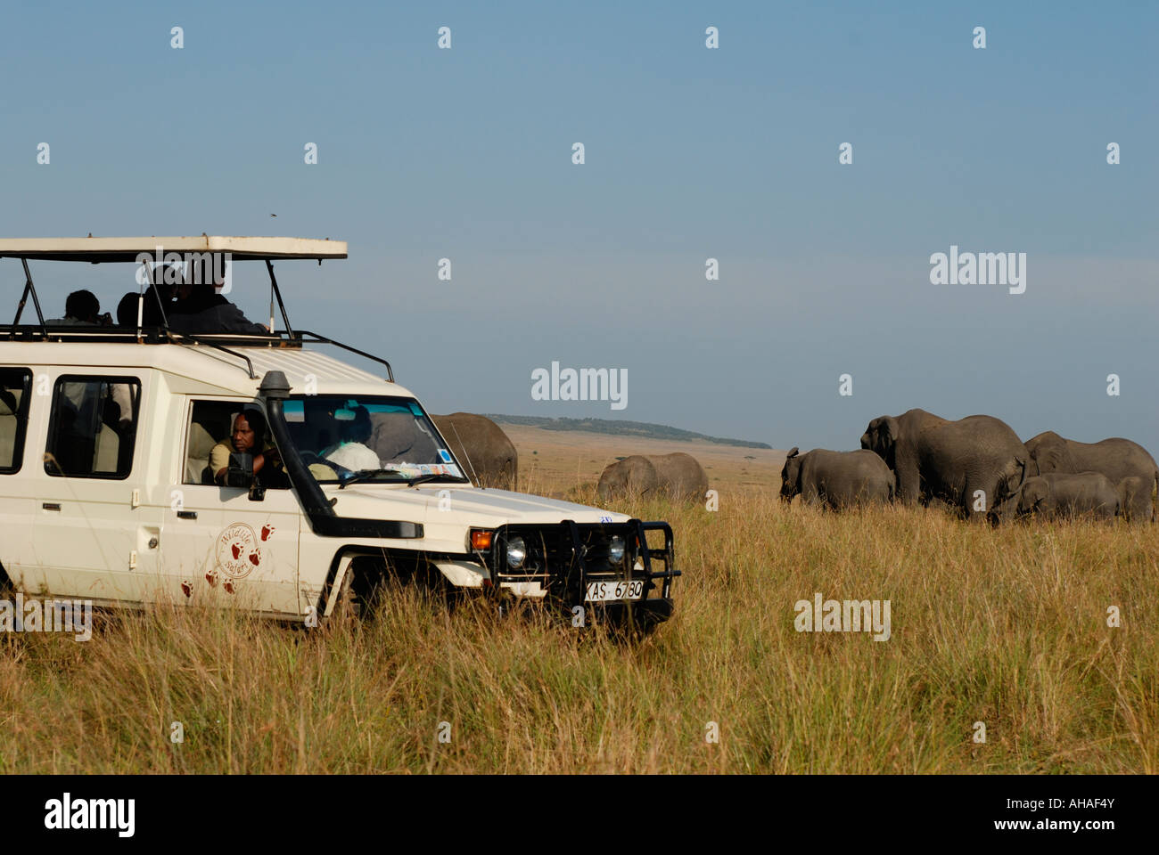 Toyota Landcruiser close to elephant in the Masai Mara National Reserve