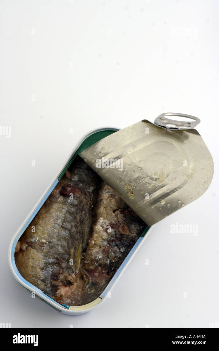Tin of sardines Stock Photo Alamy