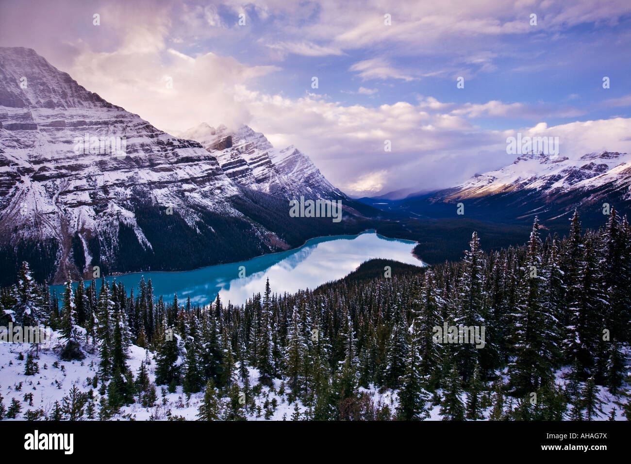Peyto Lake, Banff National Park, Alberta Canada Stock Photo - Alamy