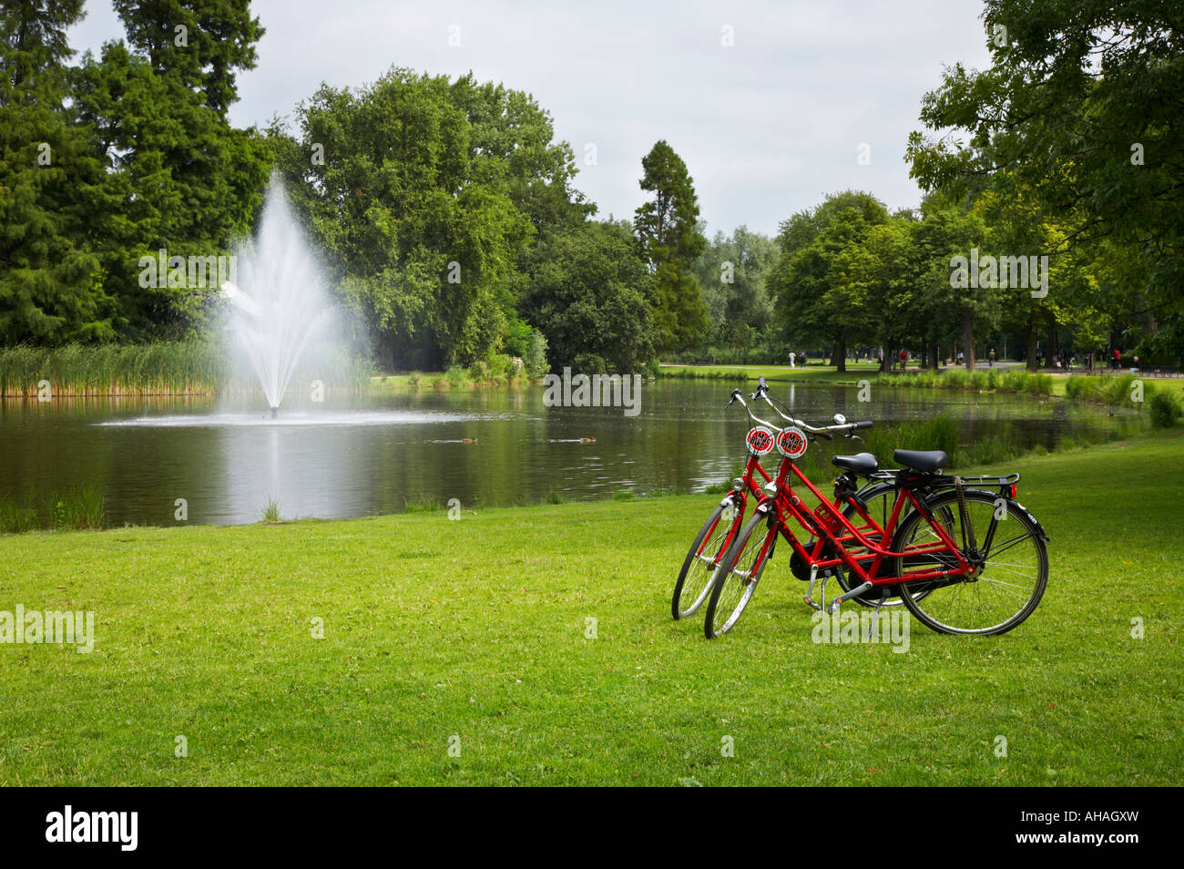 Hired bicycles stood in Vondelpark, Amsterdam Stock Photo