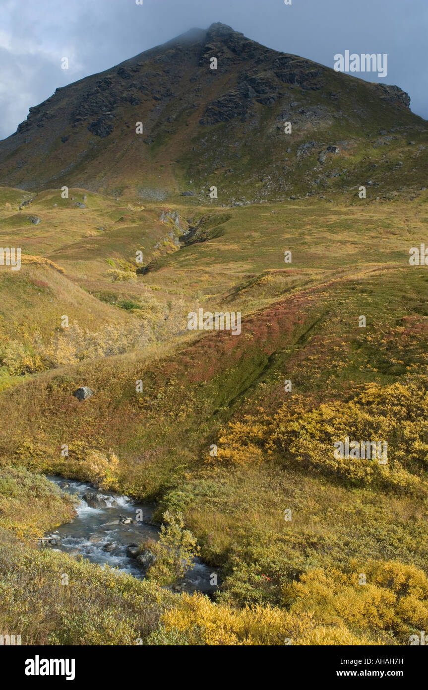Alpine tundra below Hatcher Pass, Talkeetna Mountains, Alaska September