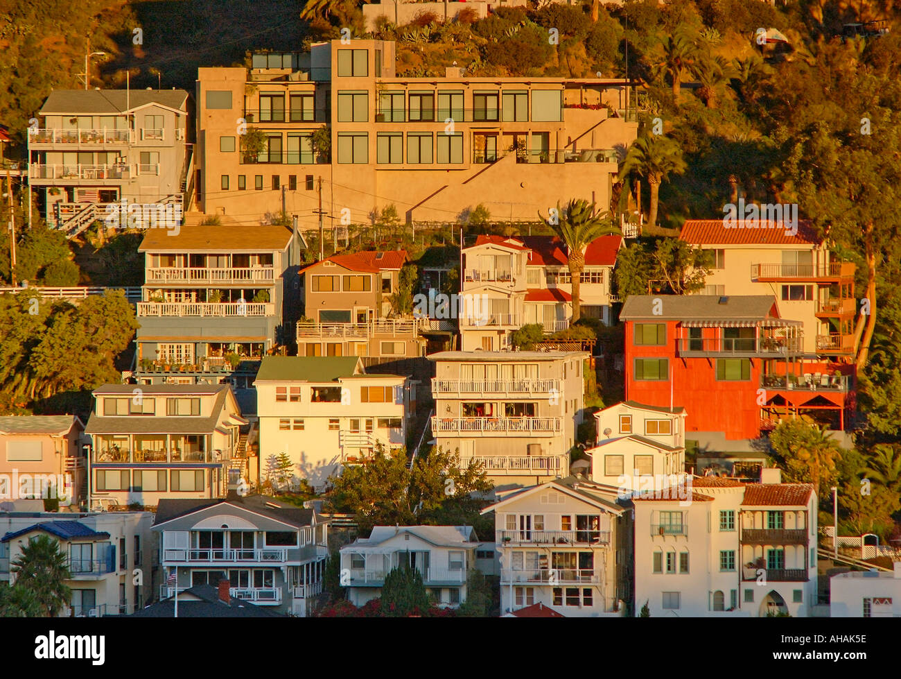 Homes on the cliff during sunset in Avalon Bay Catalina Island California Stock Photo