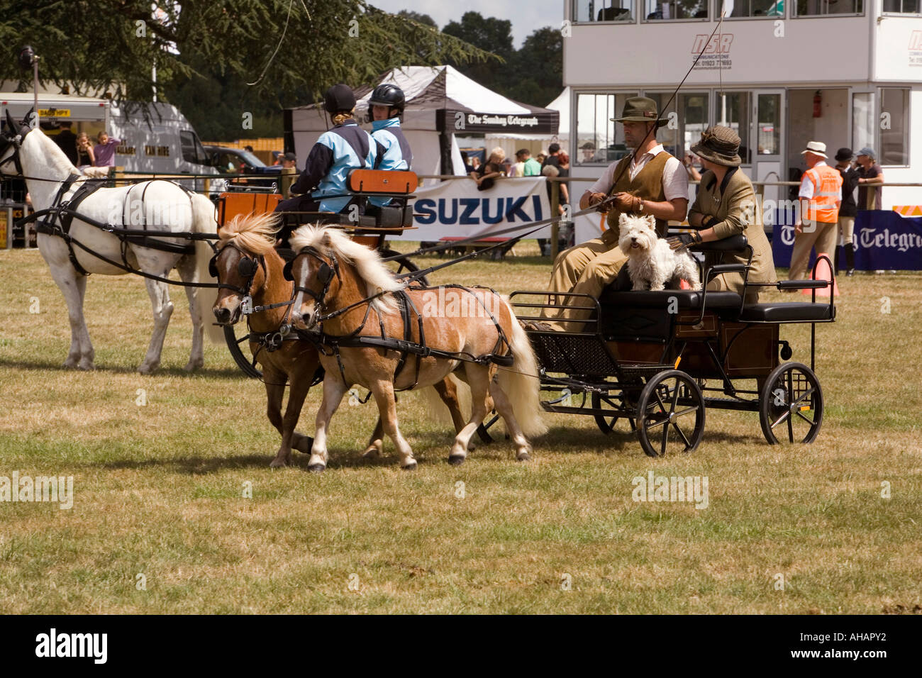 UK Hampshire Romsey Broadlands CLA Game Fair Main Arena Carriage driving display Shetland pony drawn cart Stock Photo