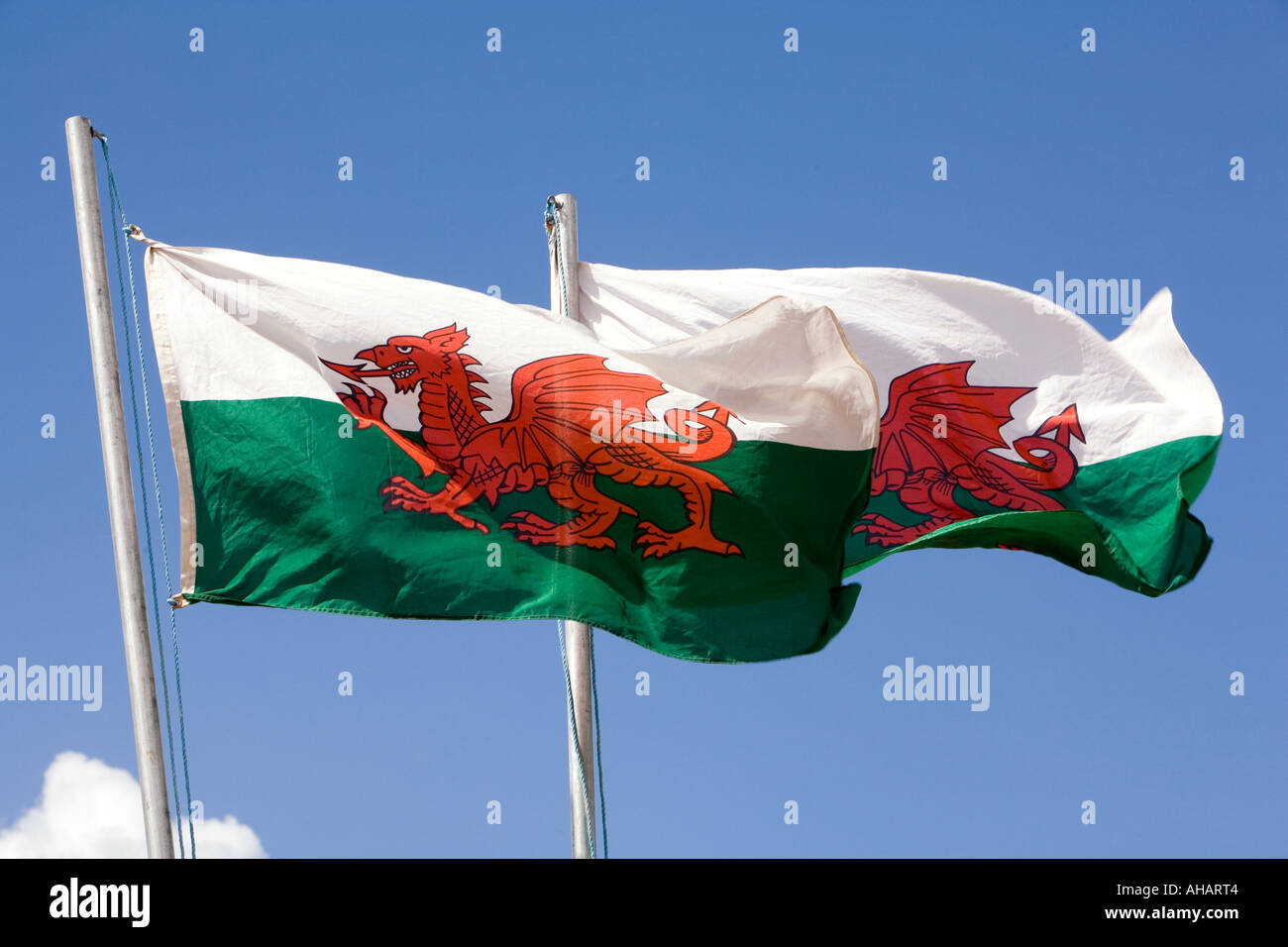 UK Hampshire Romsey Broadlands CLA Game Fair Welsh Village Welsh flags flying Stock Photo