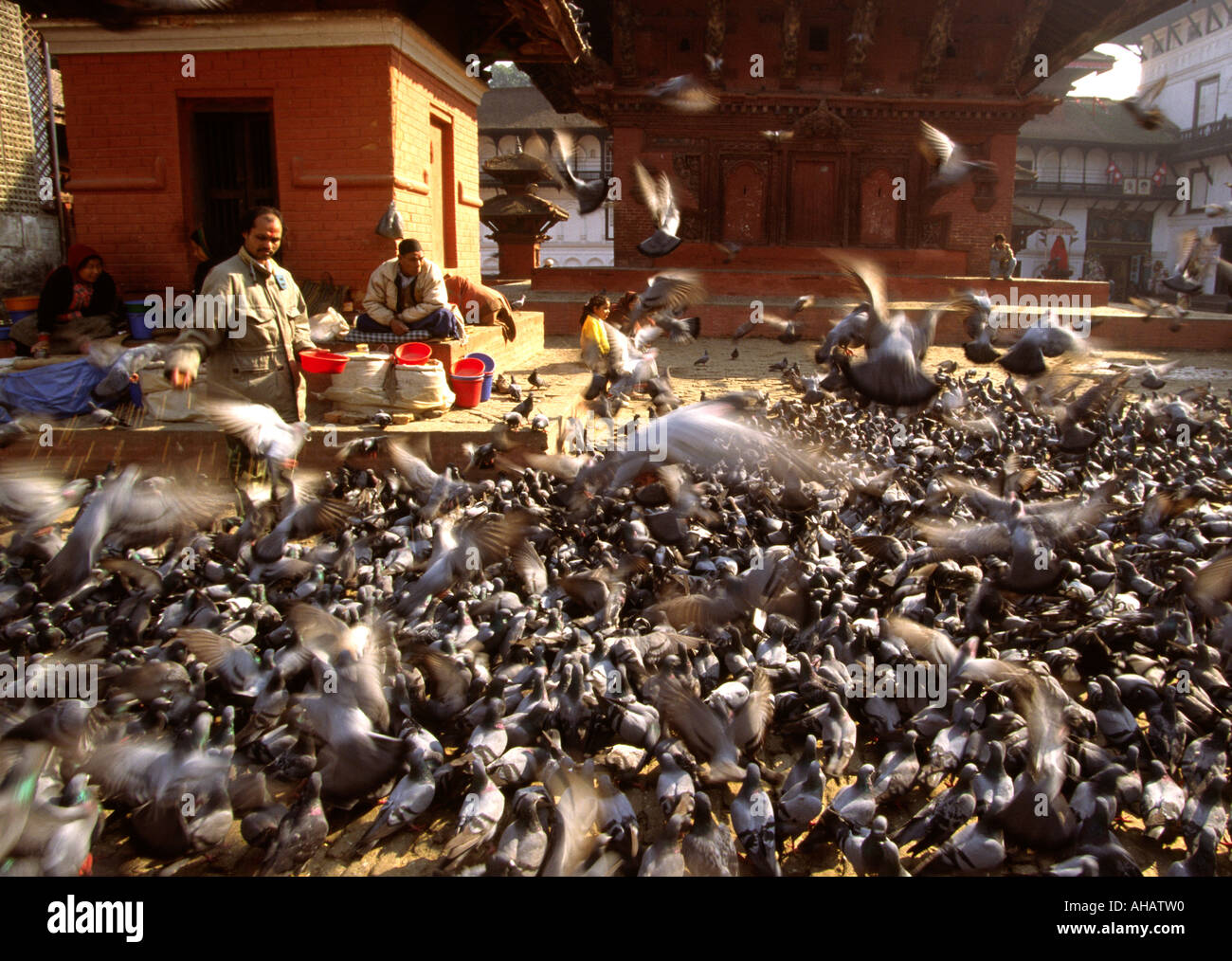 Nepal Kathmandu Durbar Square pigeons at Degutaleju Temple Stock Photo