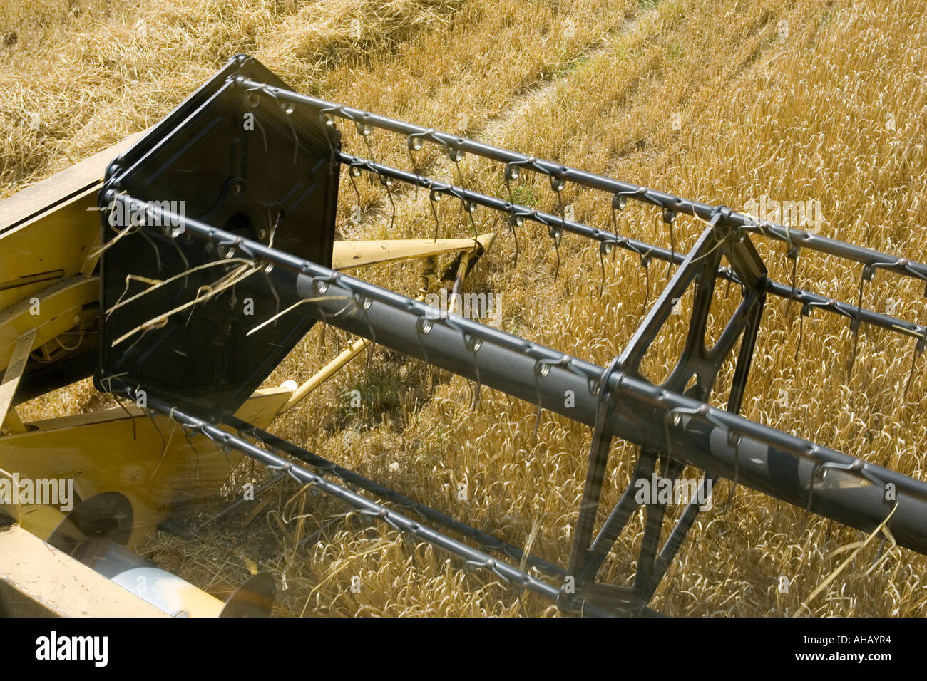 Reel of combine harvester Wiltshire England UK Stock Photo Alamy