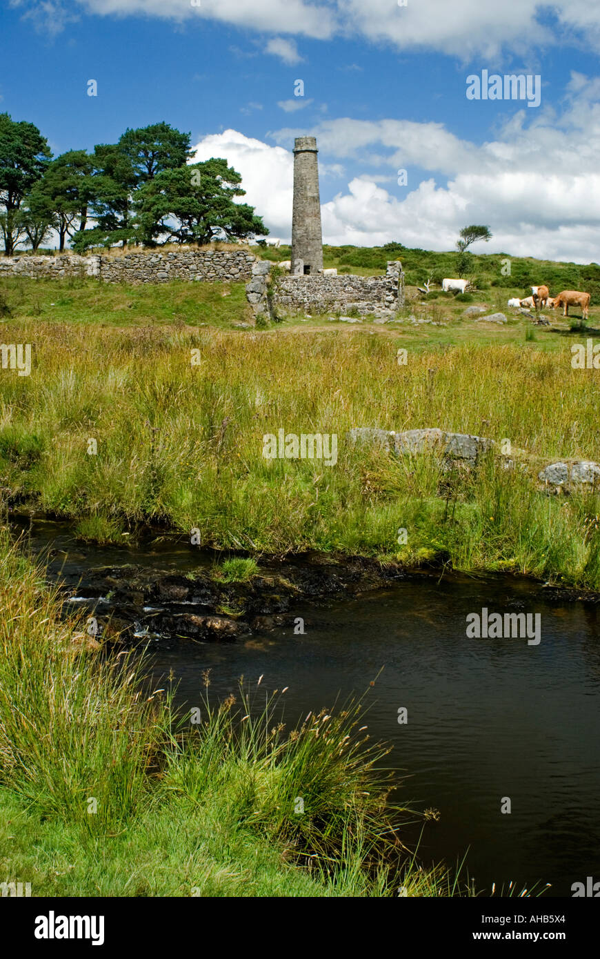 Powder Mill, Dartmoor, England Stock Photo Alamy