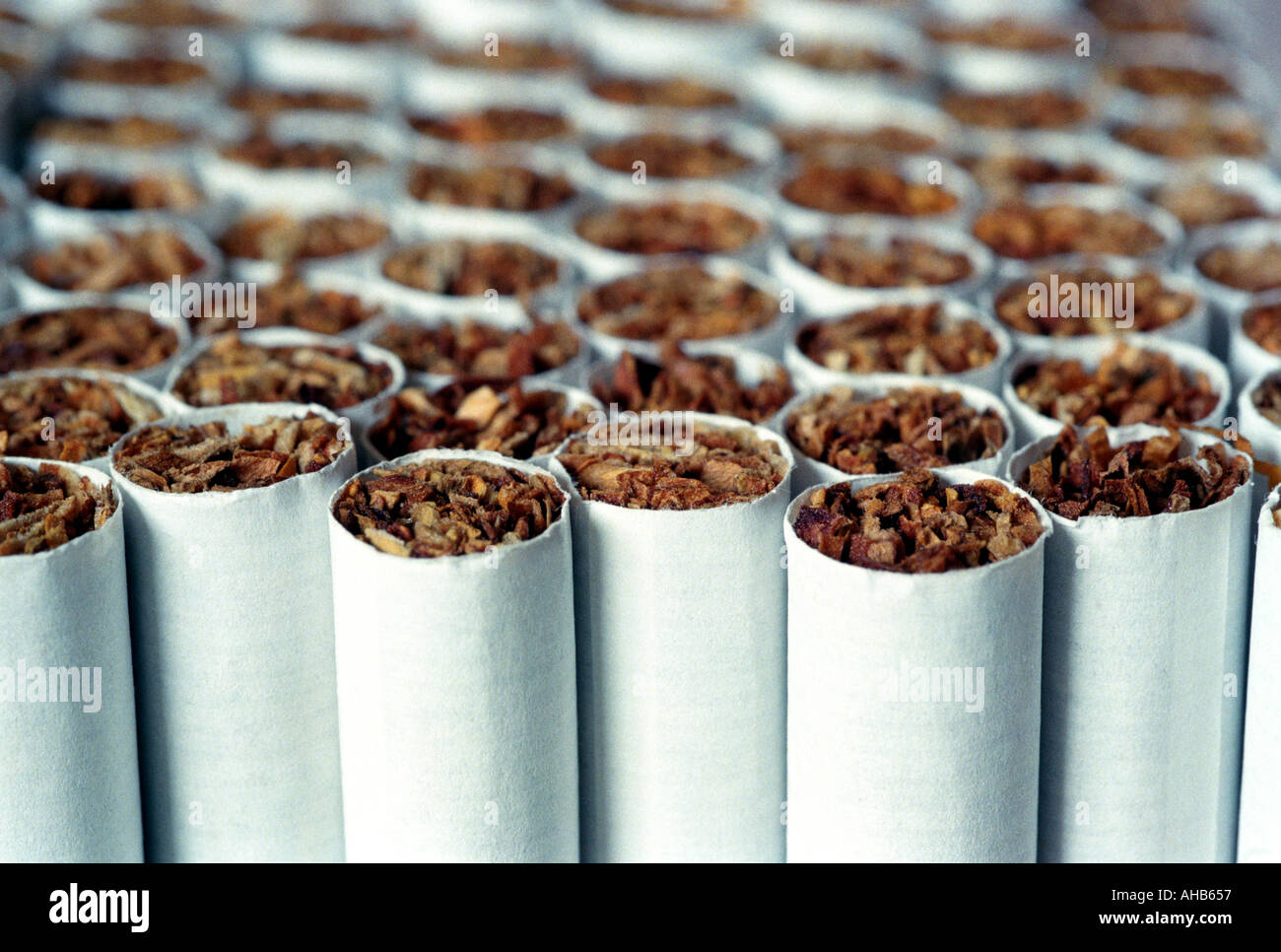 Close up of the ends of cigarettes Stock Photo