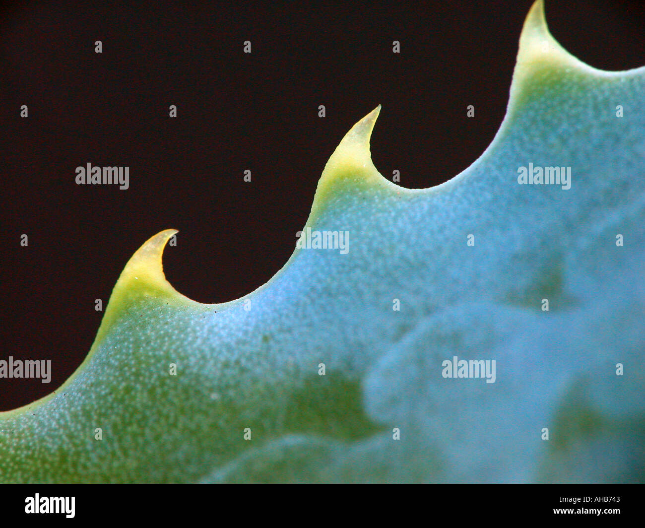 3 waves hi-res stock photography and images - Alamy