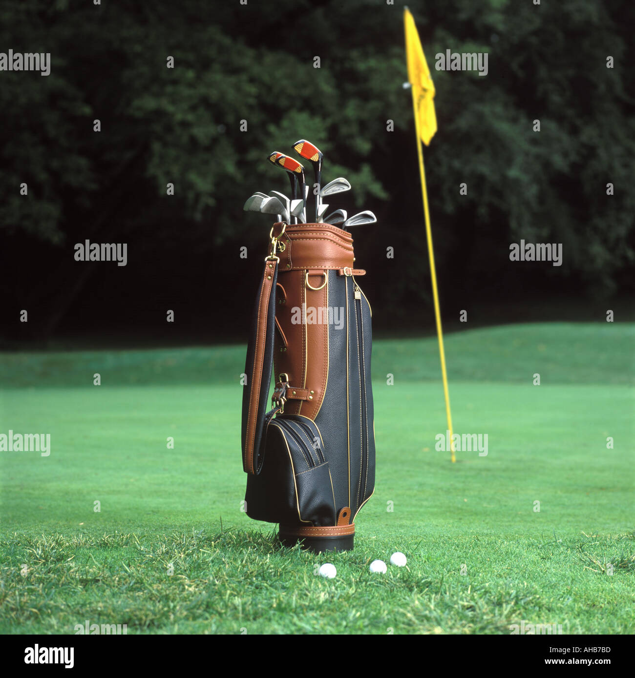 Golf Bag On Green Stock Photo