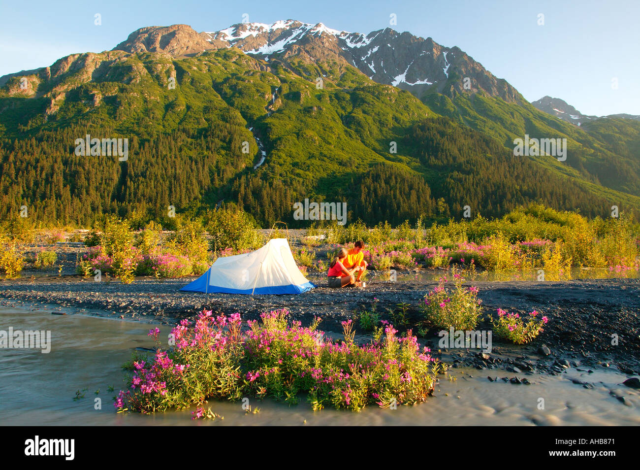 Kenai fjords and flowers hi-res stock photography and images - Alamy