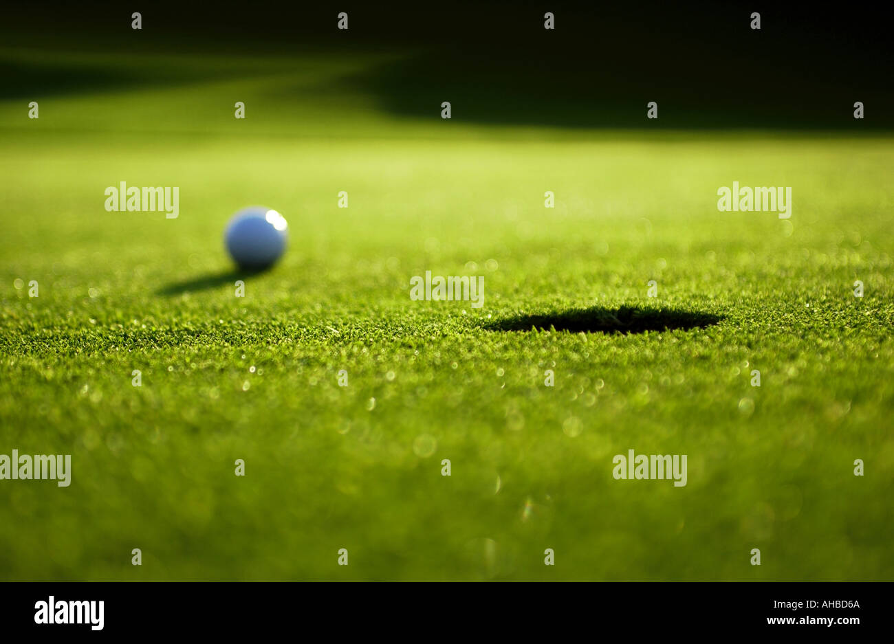 Golf ball on putting green Stock Photo Alamy