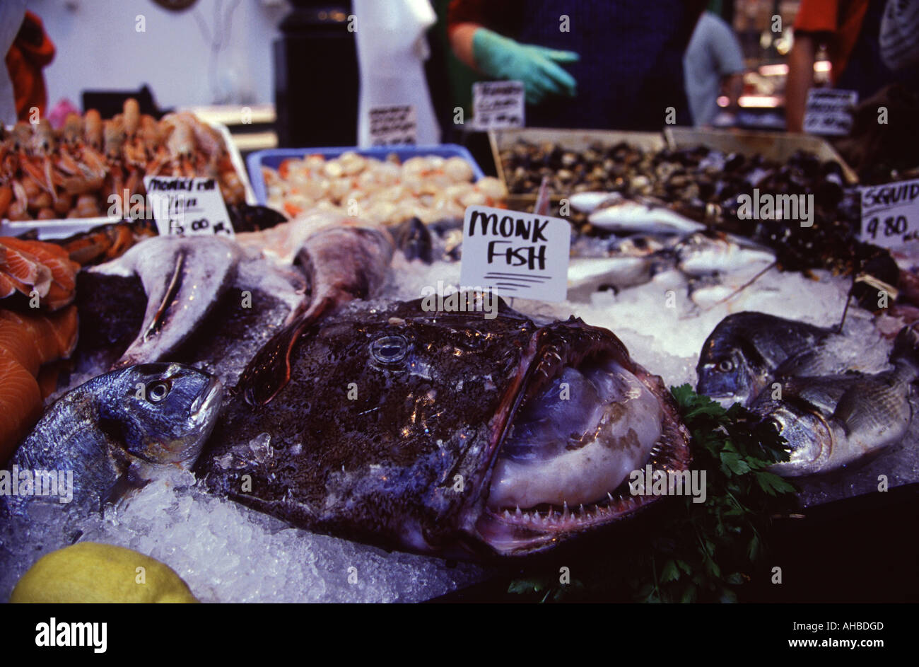 Monkfish head hires stock photography and images Alamy