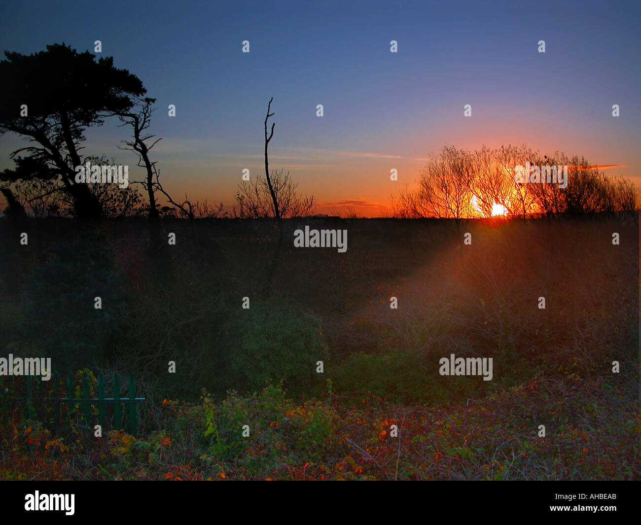 Good orange color hi-res stock photography and images - Alamy
