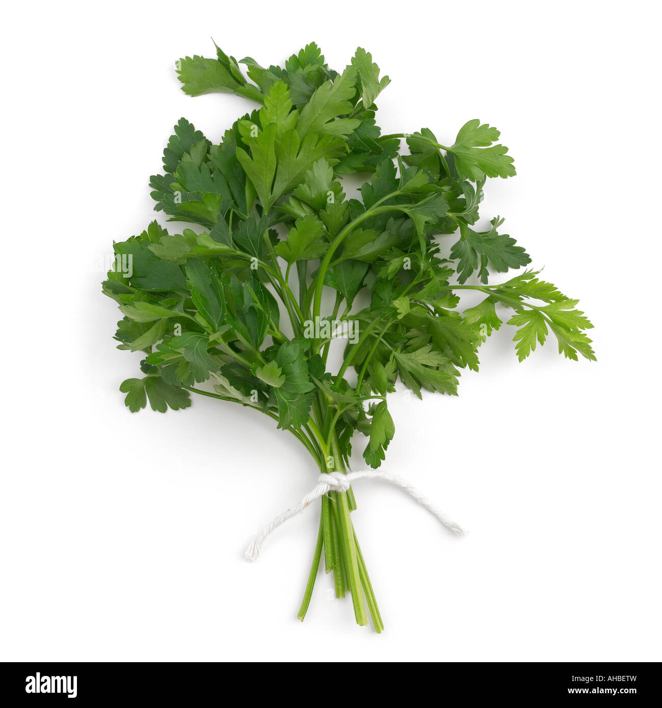 Flat leaf parsley hires stock photography and images Alamy