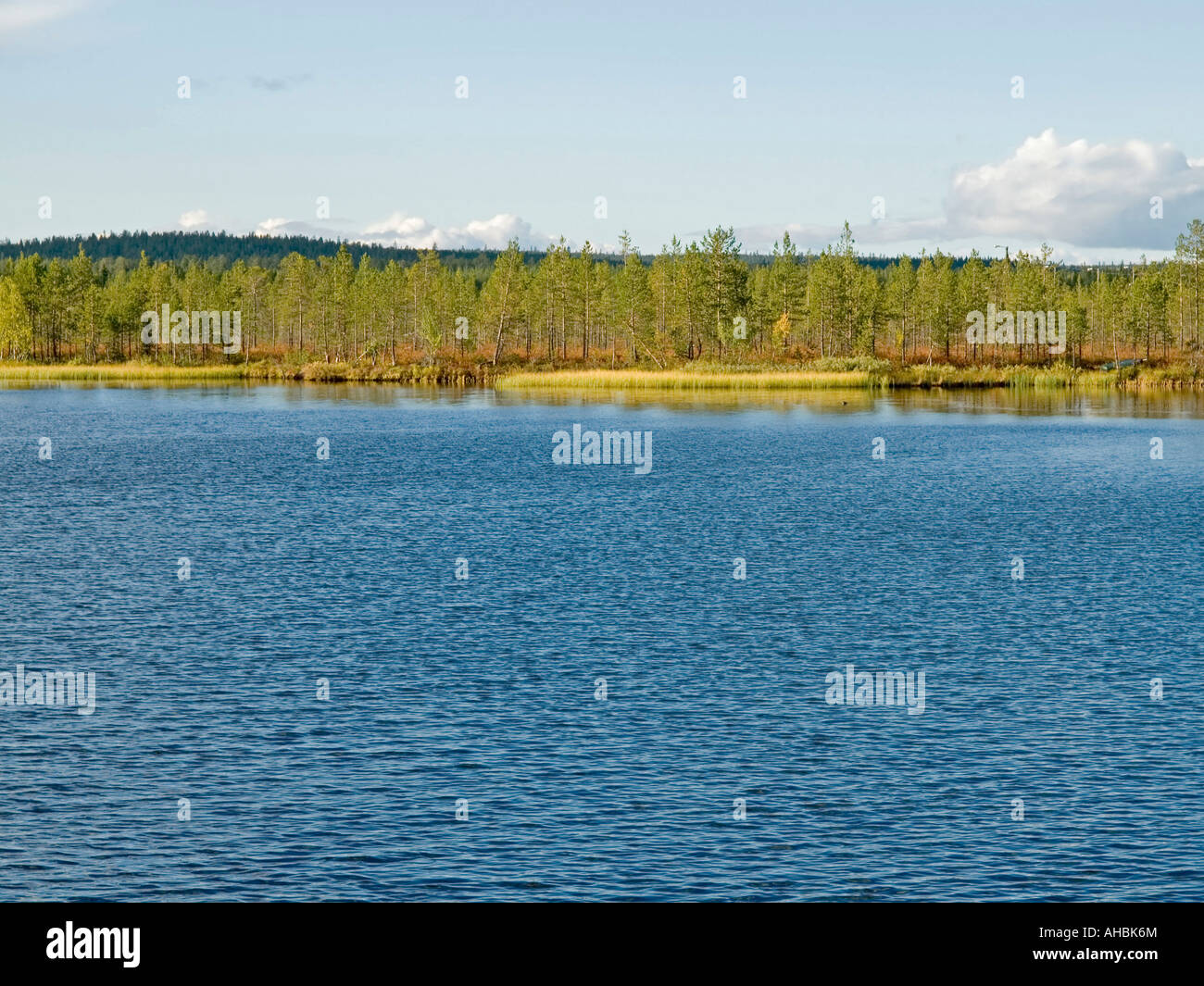 lake with coloured forest in Akaslompolo Lapland Finland Stock Photo