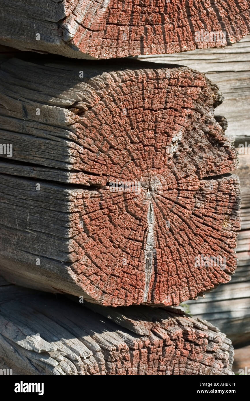 Old Logs In Log Cabin Wall Corner Stock Photo 8241600 Alamy