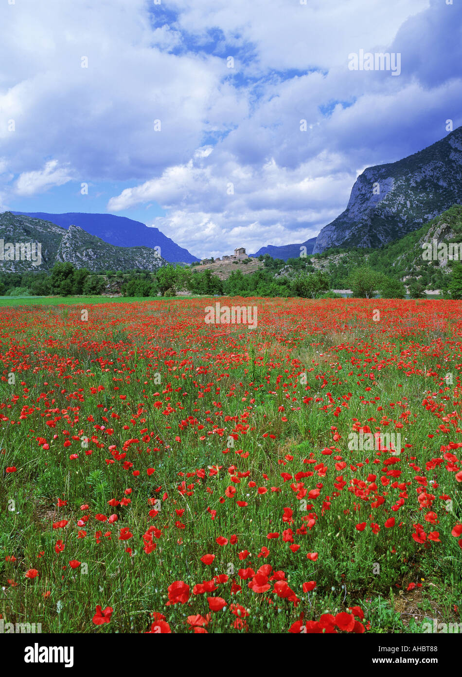 Spanish village of Coll de Nargo above field of red poppies in Catalonia in Pyrenees Stock Photo