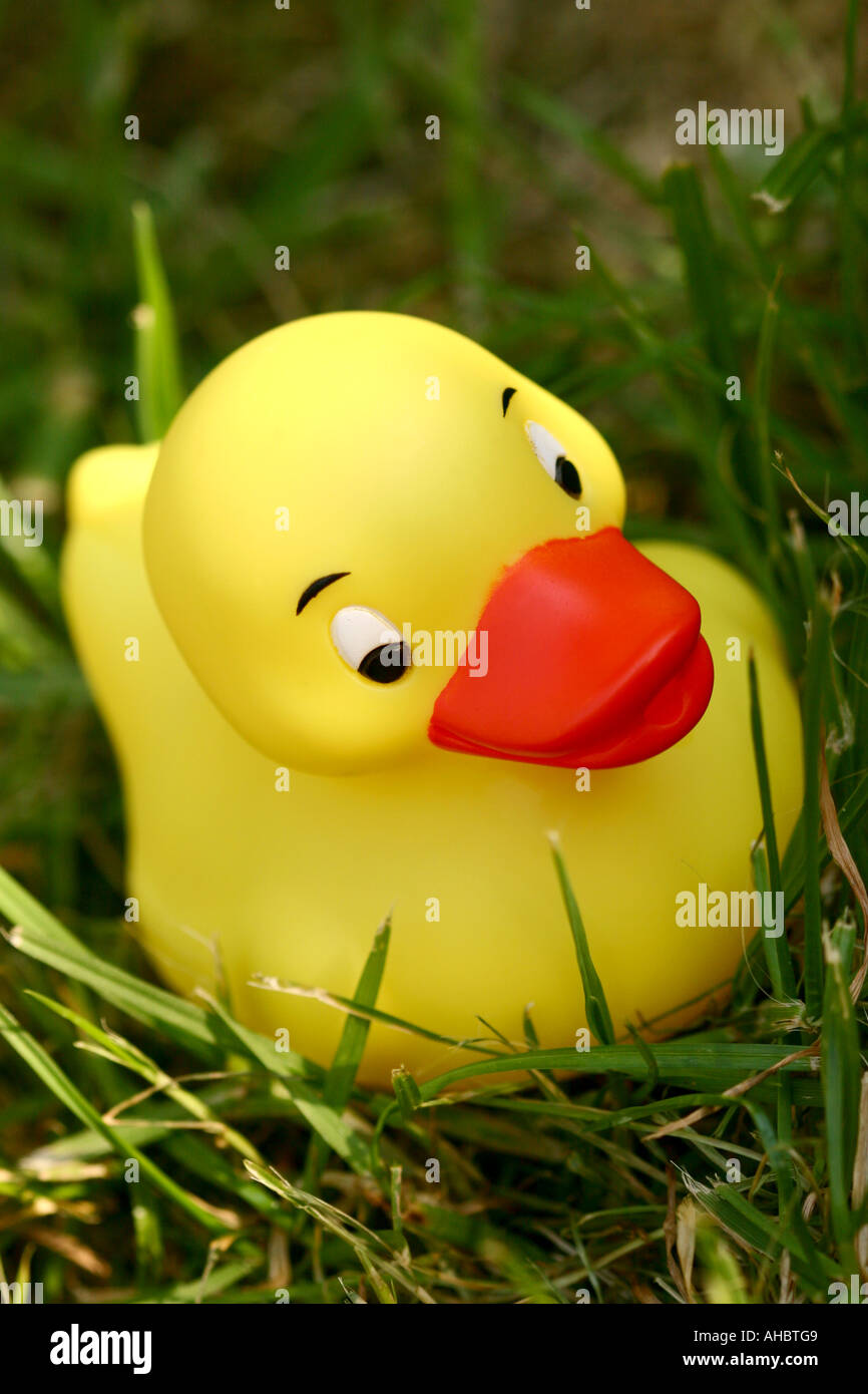 Yellow Rubber Duck sitting on grass Stock Photo Alamy