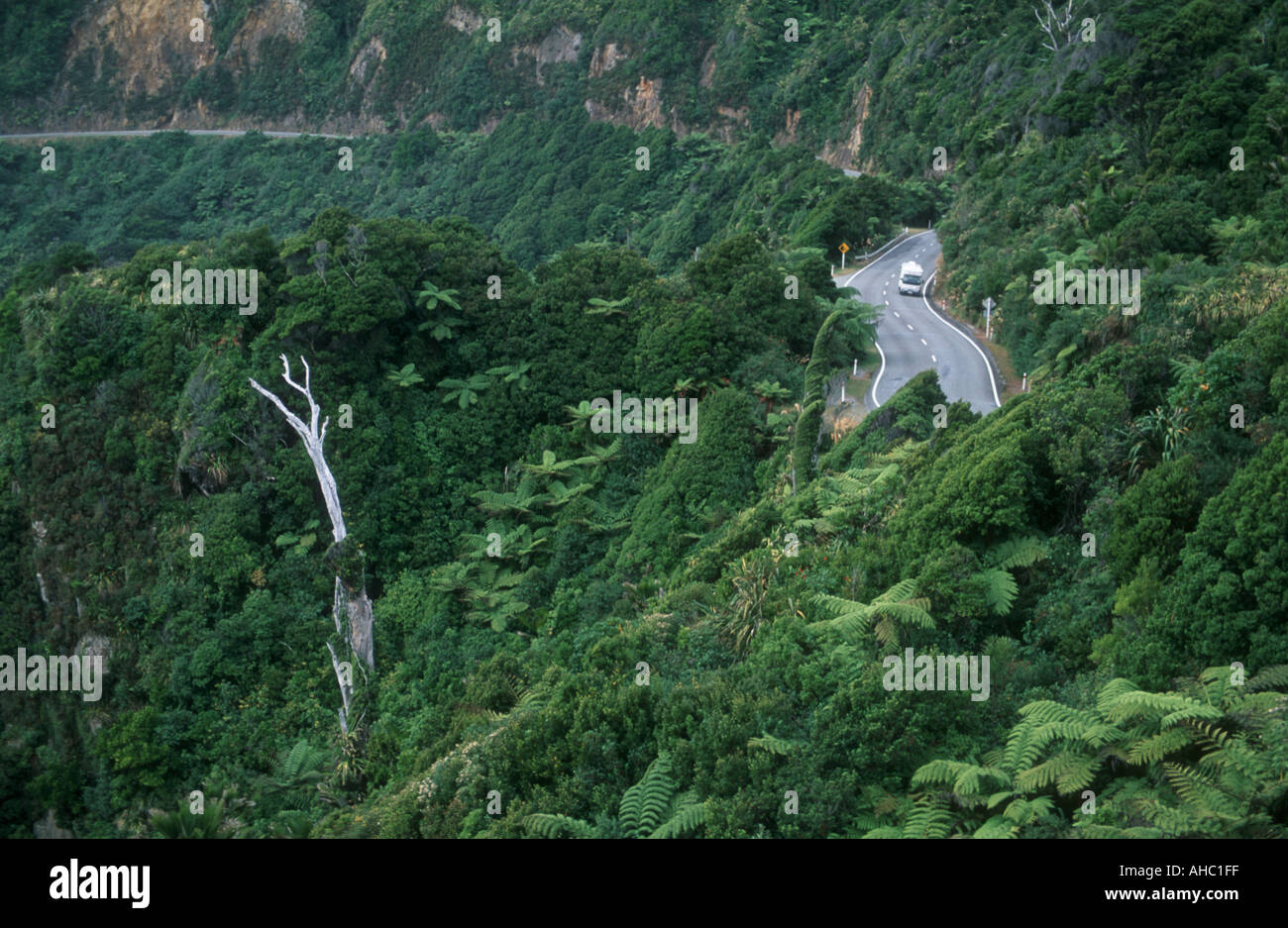 West coast road through lush vegetation South Island NZ Stock Photo Alamy