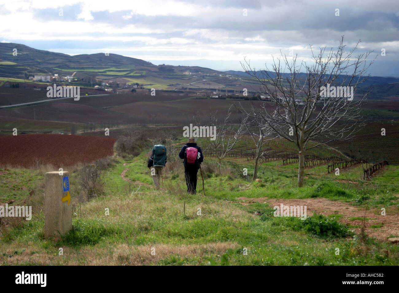 Santiago Way through Navarra Peregrinos at Monjardin Stock Photo