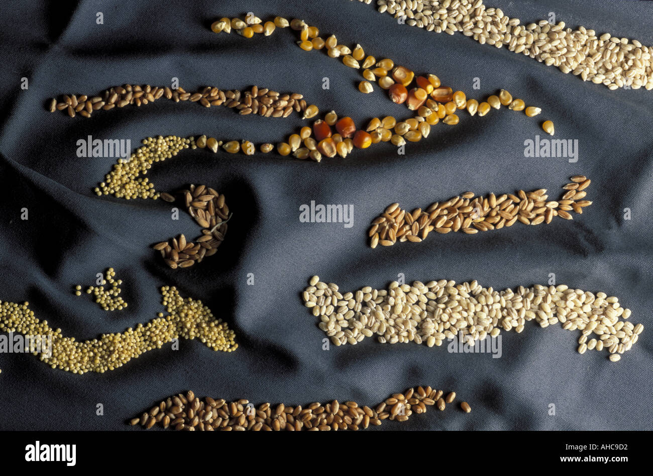 Rye Spelt Mais Barley Cereal and Wheat Italy Stock Photo