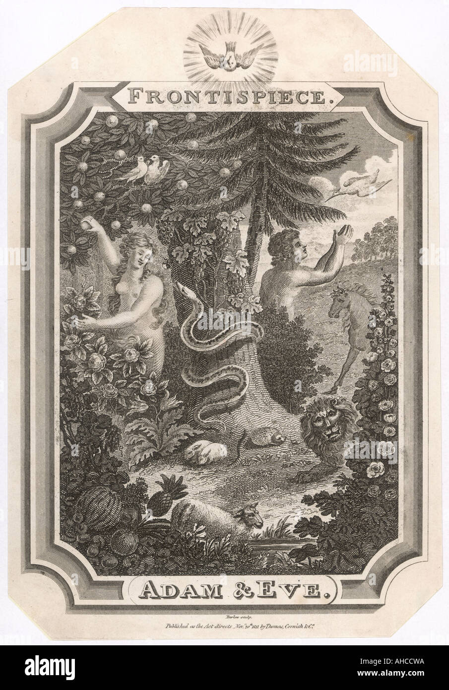 Adam eve serpent hi-res stock photography and images - Alamy