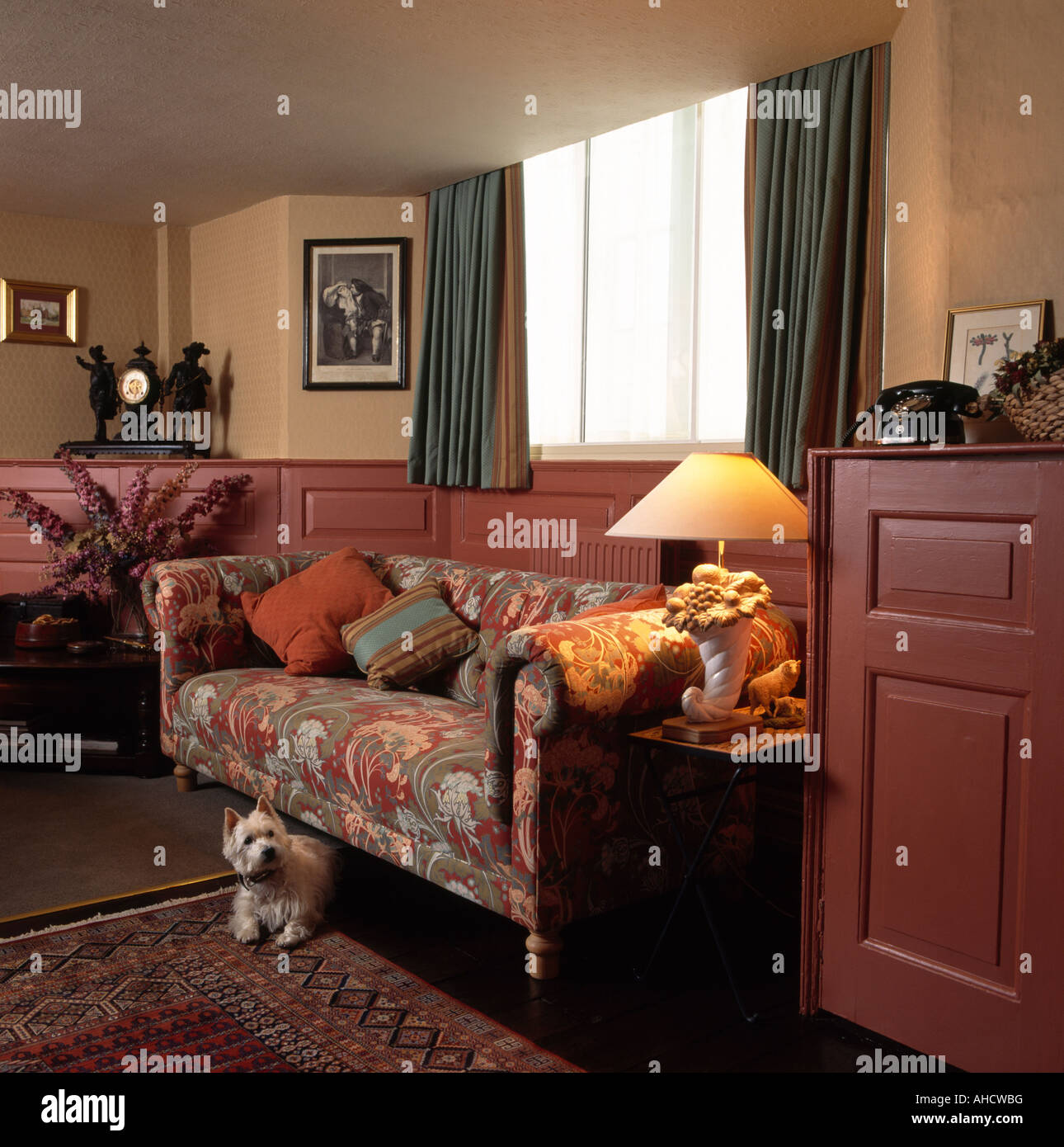 Small white dog in eighties living room with patterned Chesterfield sofa and brown half panelling on walls Stock Photo