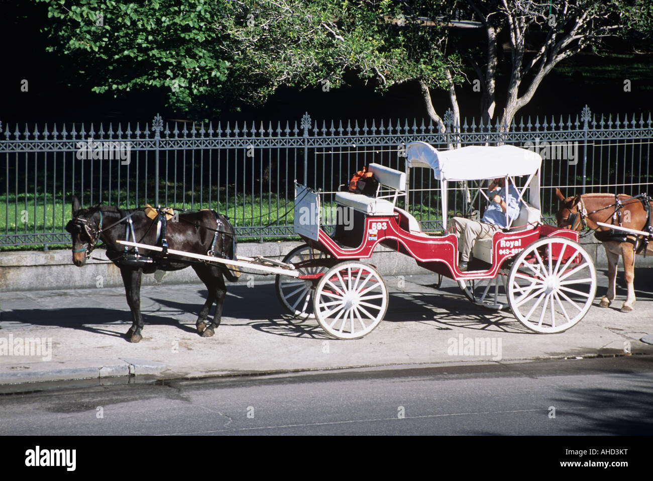 jackson square carriage rides