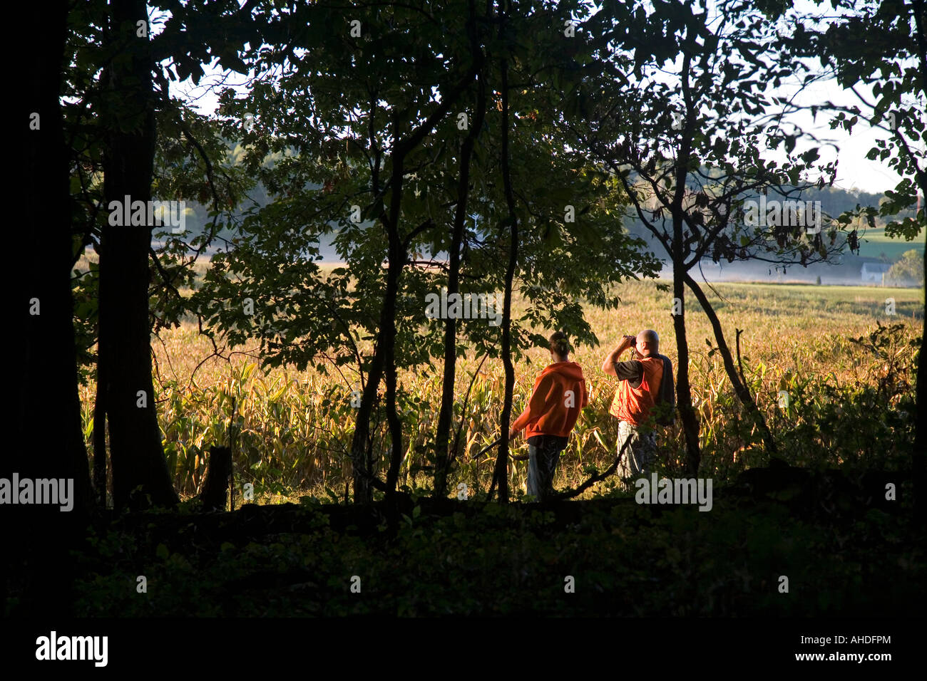 Prairieville Michigan Early morning hunters along the edge of a woods look for game in a cornfield Stock Photo