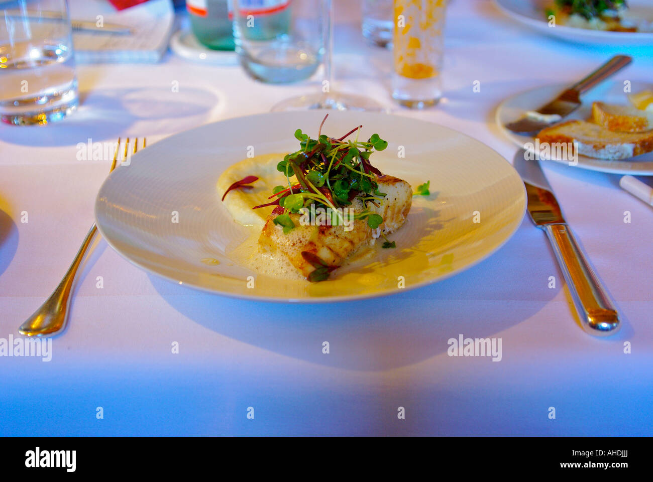 Grilled halibut entrée on a dinner plate Stock Photo