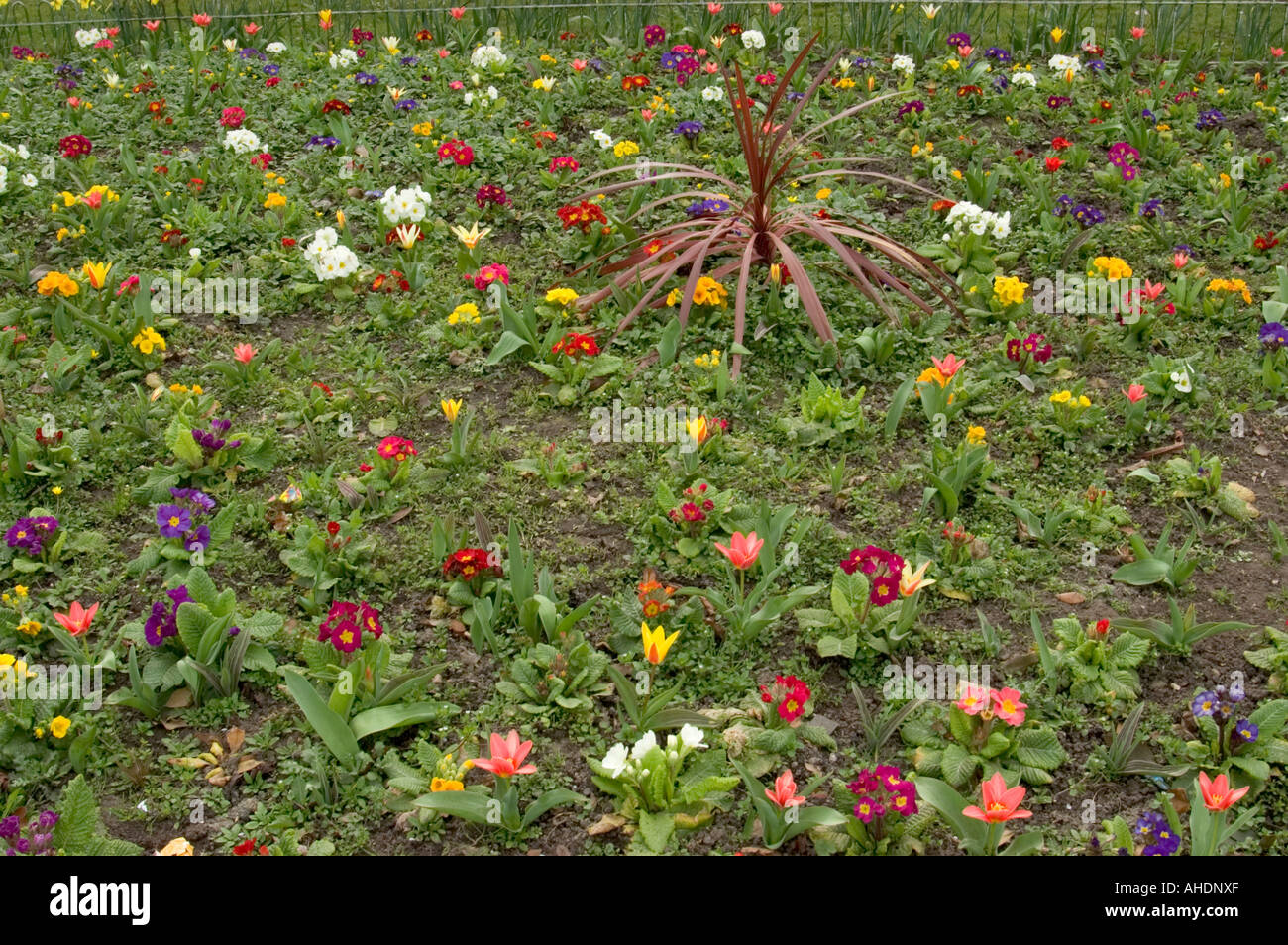 Upminster in essex hires stock photography and images Alamy