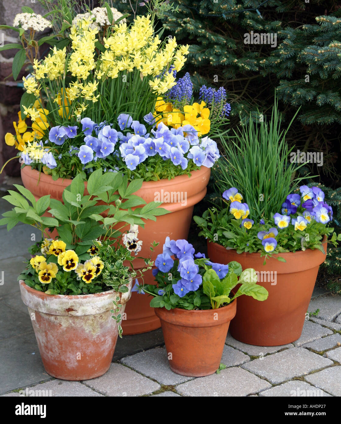 Four beautifully arranged garden pots Stock Photo