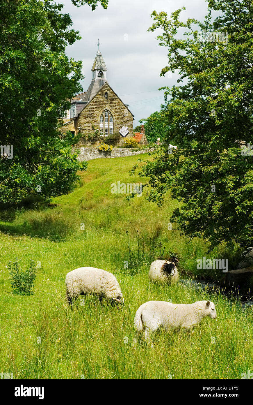 hutton-le-hole-yorkshire-sheep-high-resolution-stock-photography-and