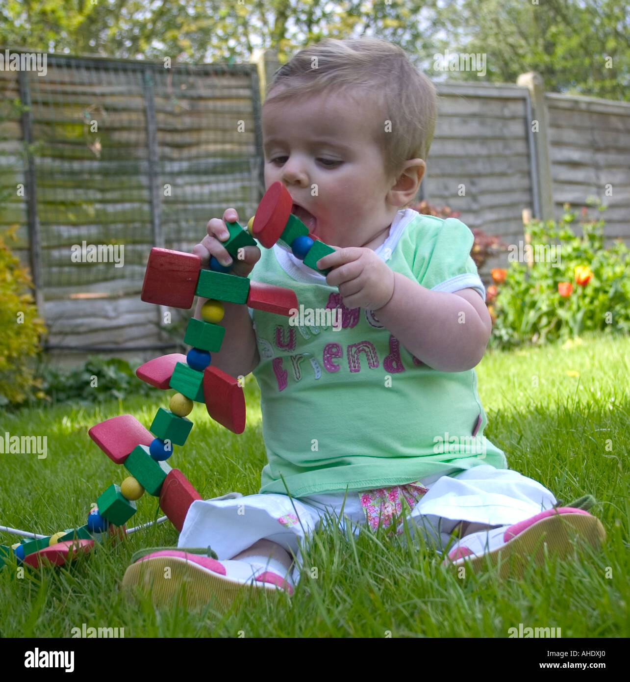 7 month old baby playing with wooden toy caterpillar Stock Photo Alamy