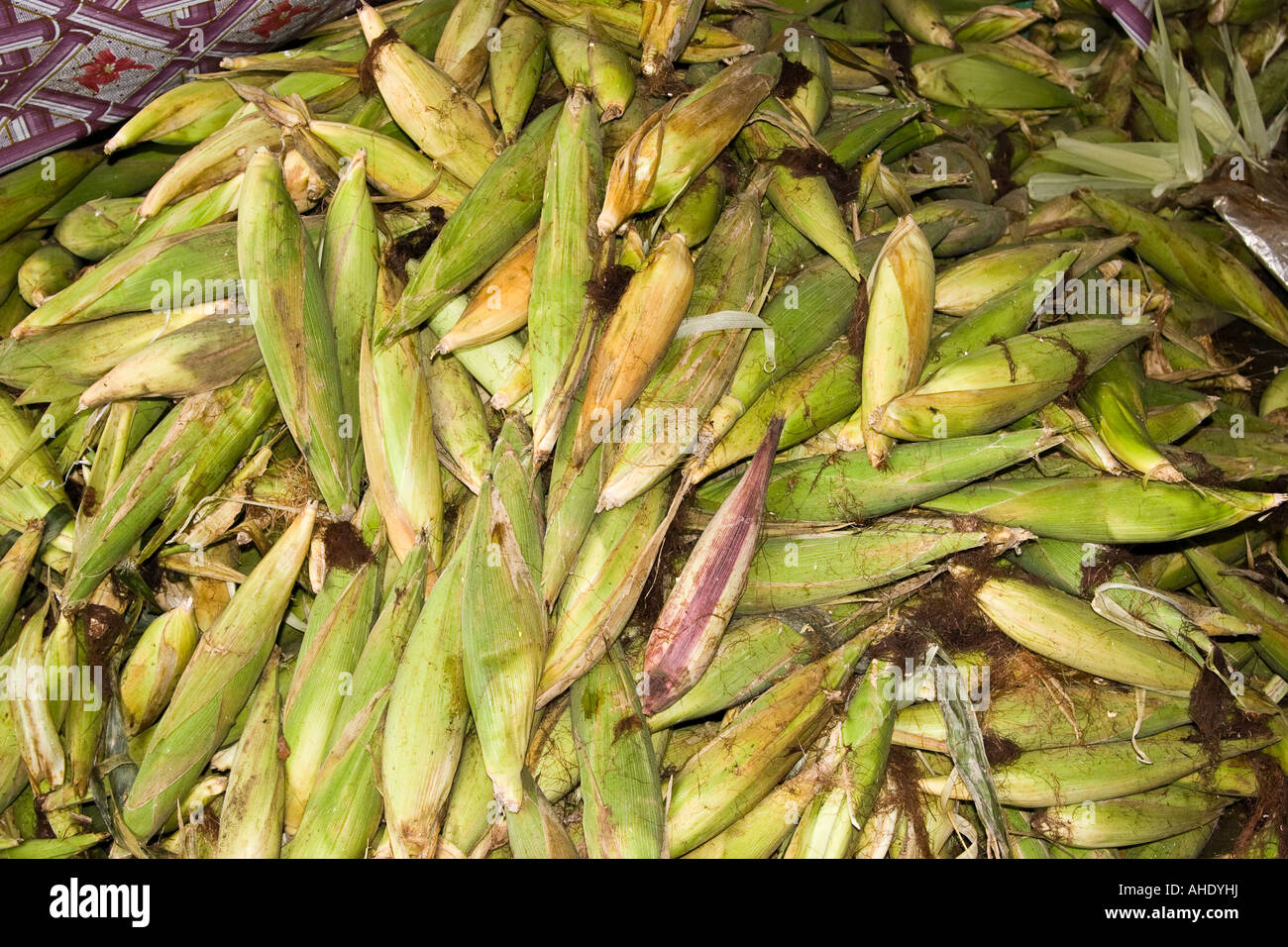 Corn cobs at El Ciruelo creole food place, La Villa, Los Santos, Azuero, Republic of Panama, Central America Stock Photo
