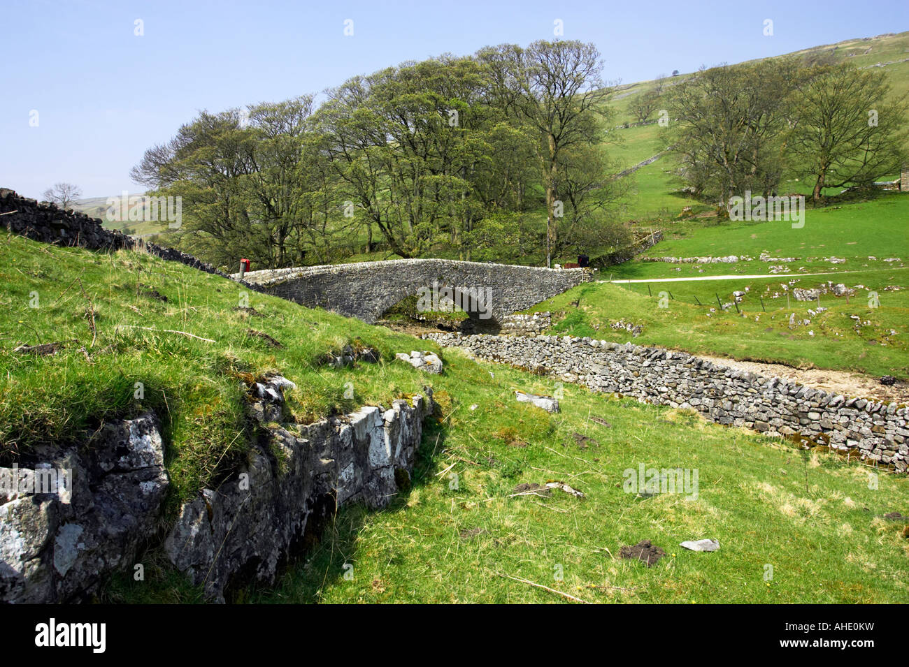 A bridge over the River Wharfe and a dry stone wall at Yockenthwaite in Wharfedale, Yorkshire Dales National Park, UK Stock Photo