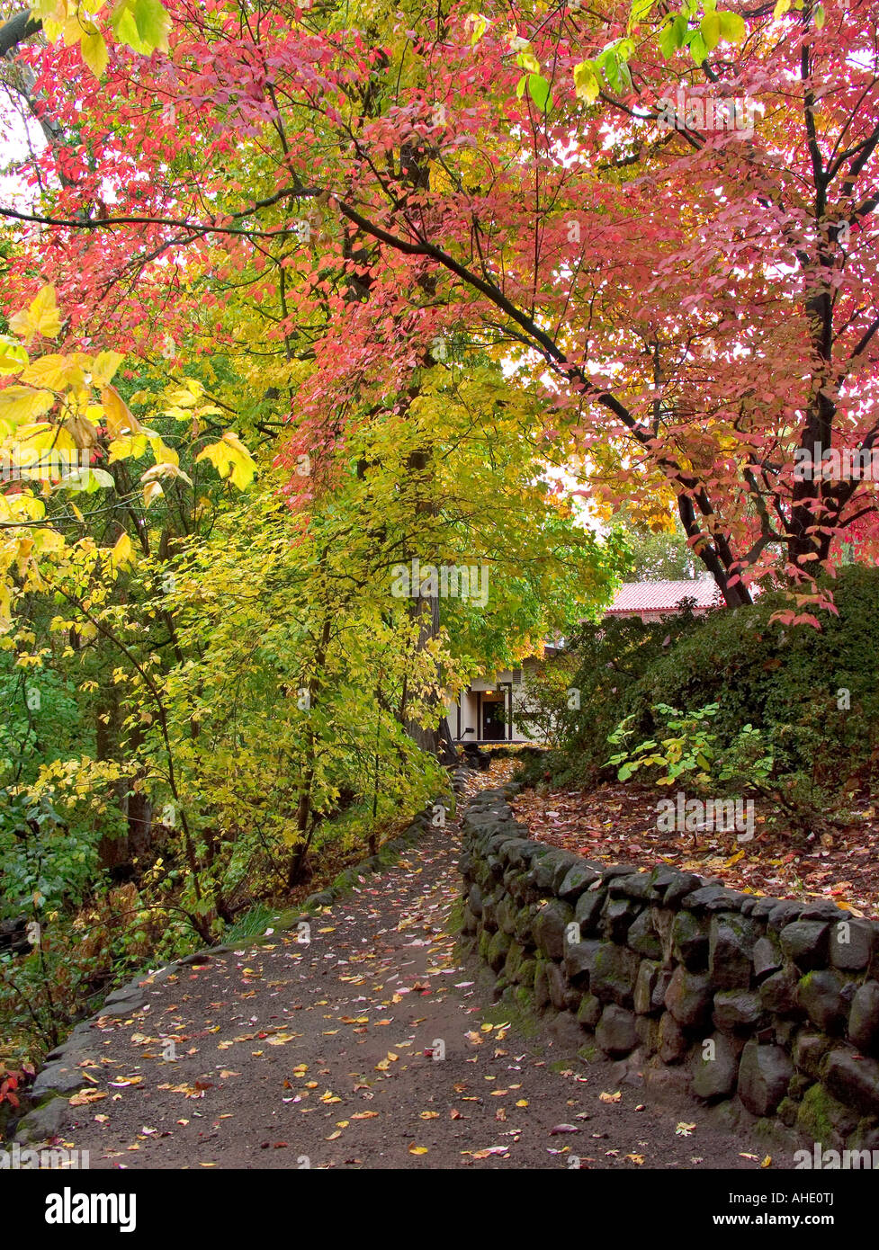 Fall colors at the California State University, Chico campus Stock