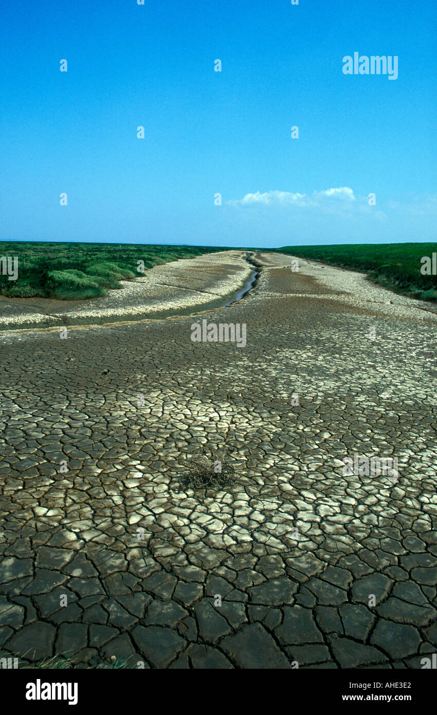 Salt marshland the Wash Lincolnshire England Stock Photo