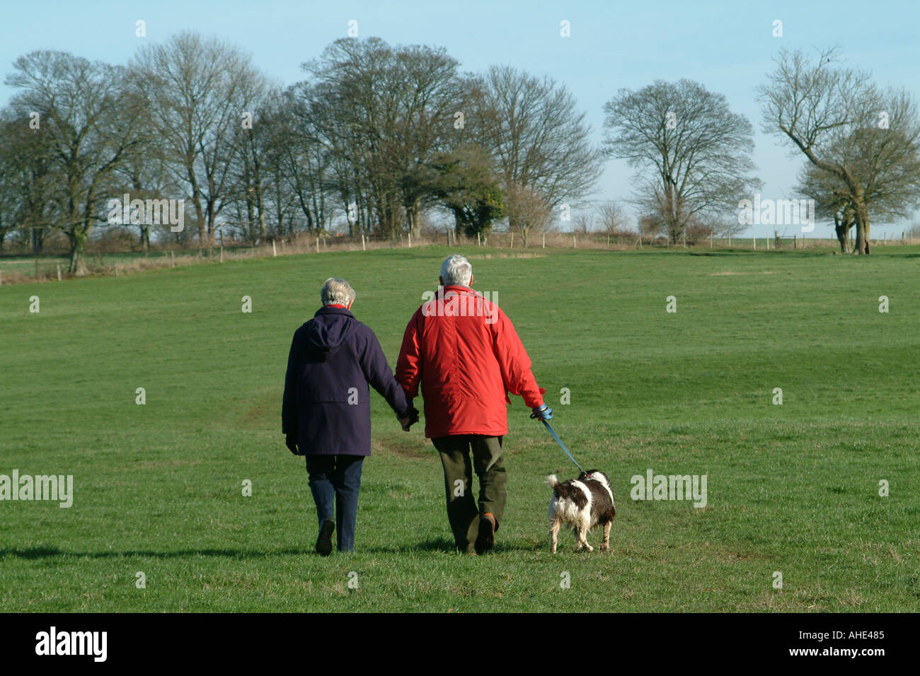 Senior Dog Walkers in Hampshire Village Southern England UK Stock Photo
