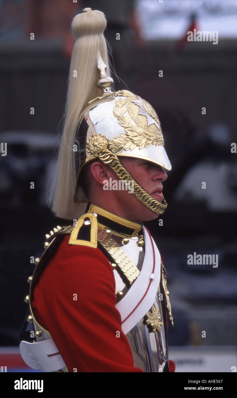 Horse guard in uniform Stock Photo Alamy