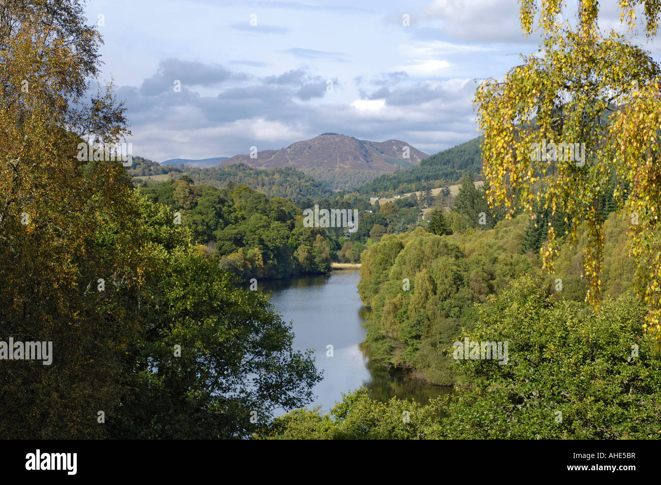 Leaping salmon pitlochry dam scotland hires stock photography and
