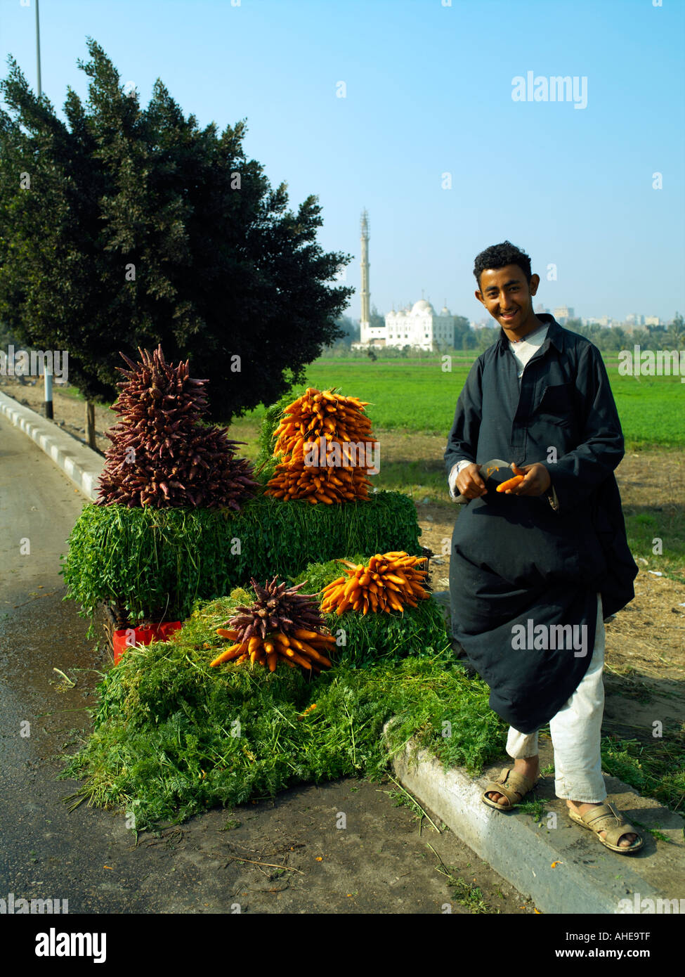 Roadside vegtable vendor near Giza Stock Photo