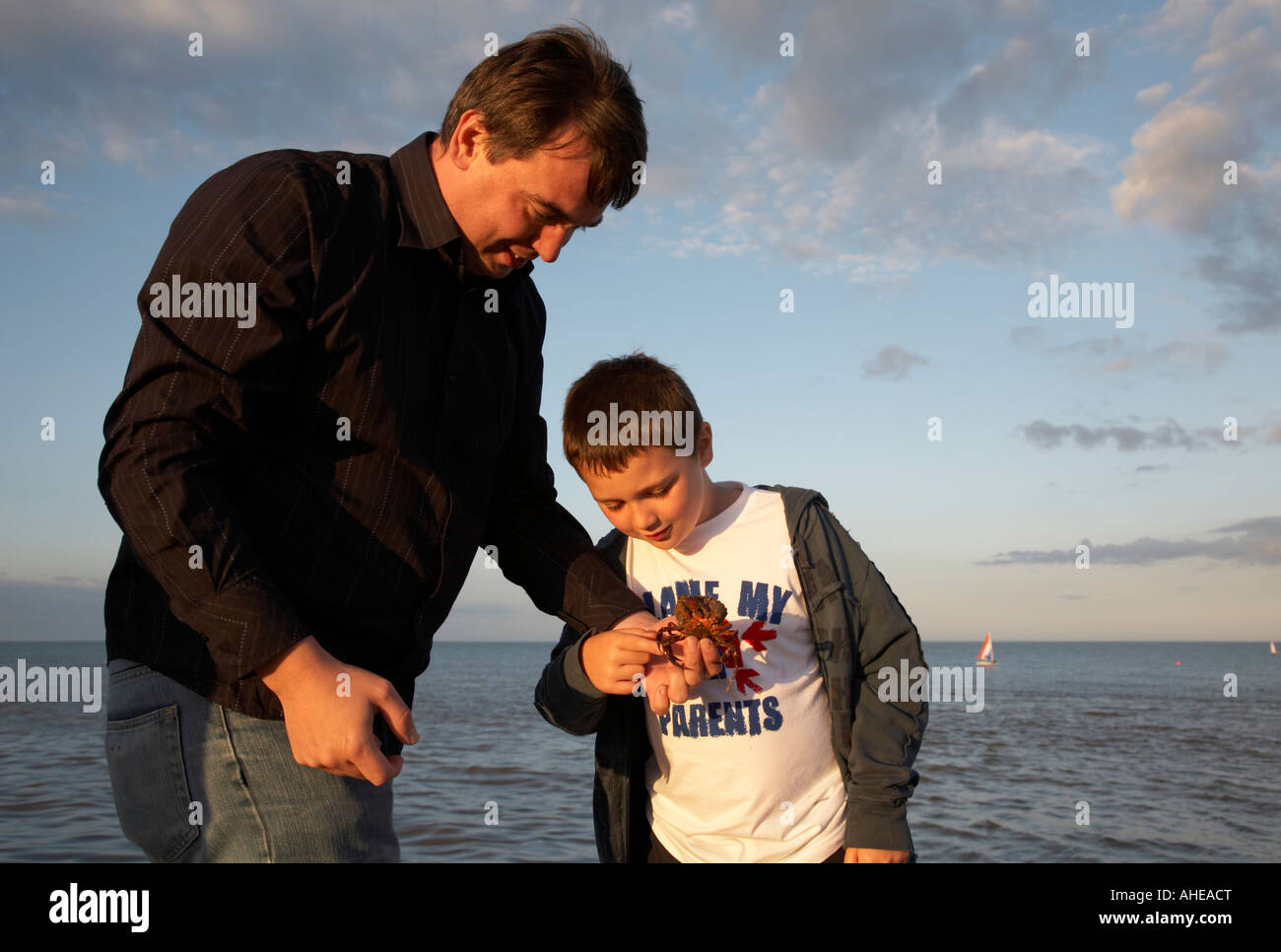 mid thirties dad showing his young seven year old son a crab in county wexford republic of ireland Stock Photo