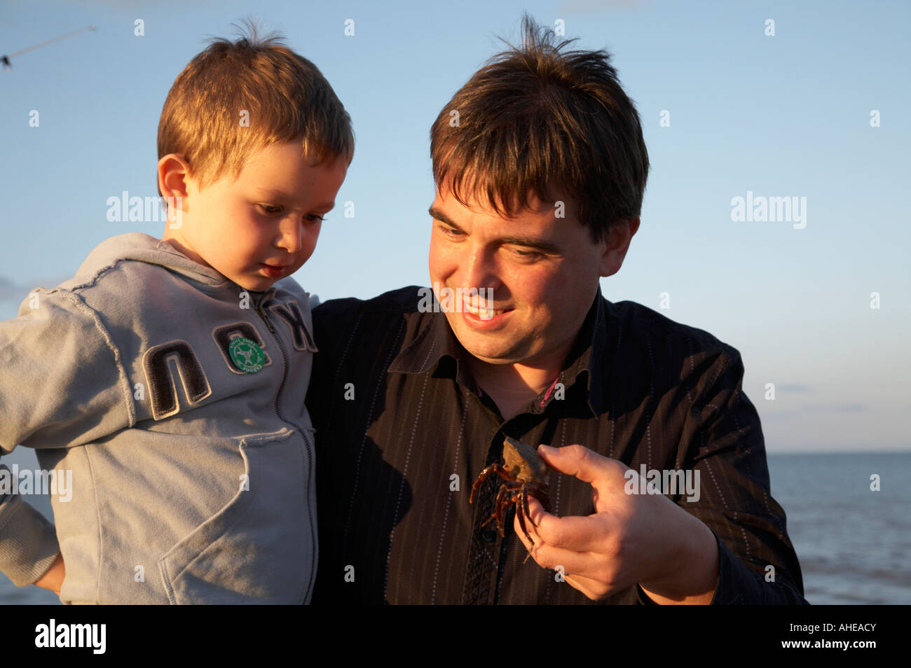 mid thirties dad showing his young three year old son a crab in county wexford republic of ireland Stock Photo