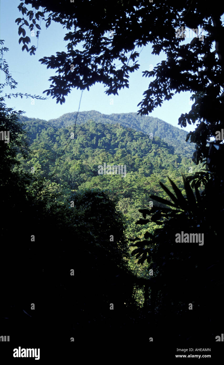 Forested mountainsides in the Parque Nacional Pico Bonito near La Ceiba Honduras Stock Photo