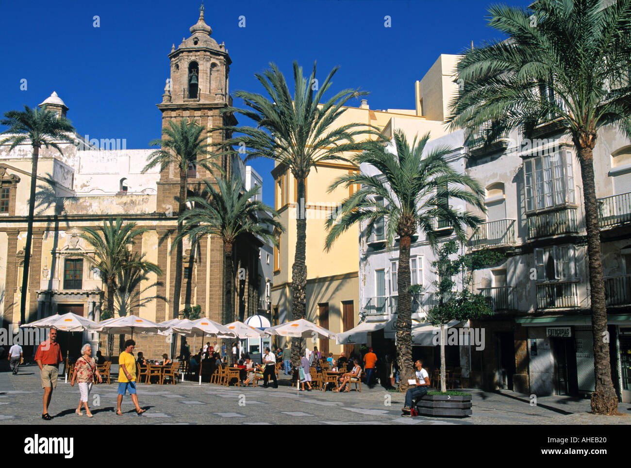 Old Cathedral, Plaza De La Catedral, Cadiz, Spain Stock Photo