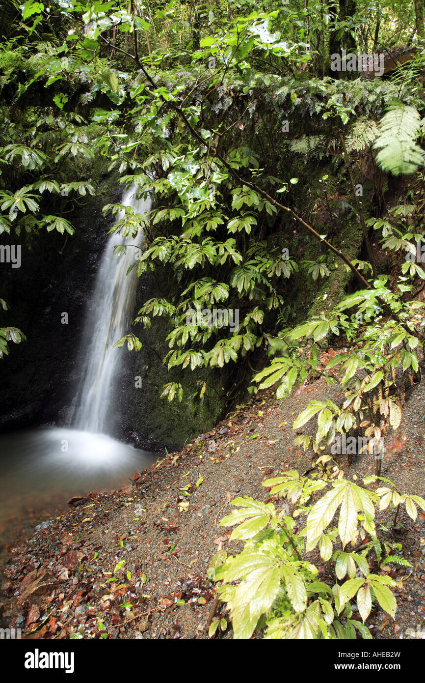 Falling water waterfall hi-res stock photography and images - Alamy