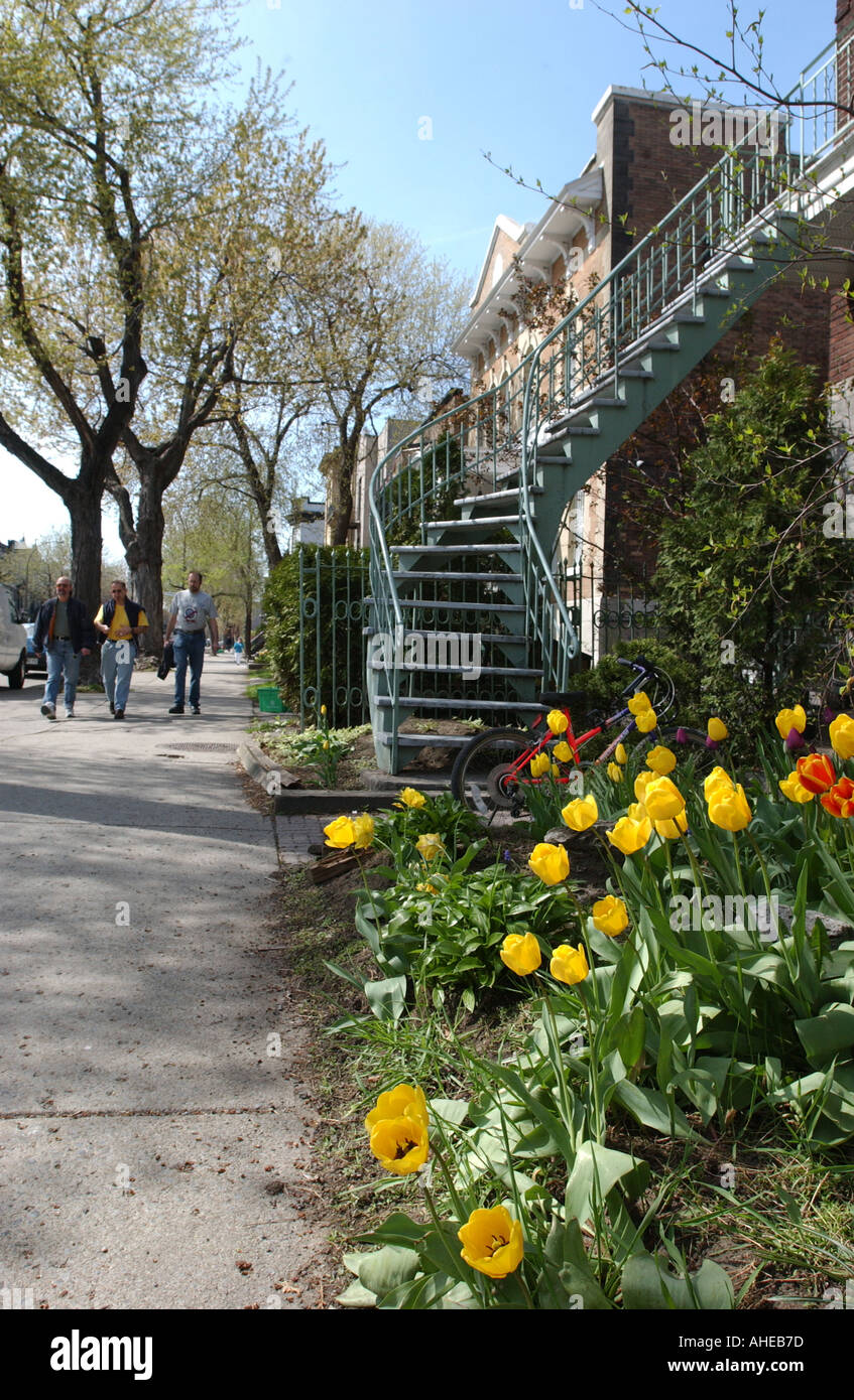 Saint Hubert street Montreal Stock Photo Alamy