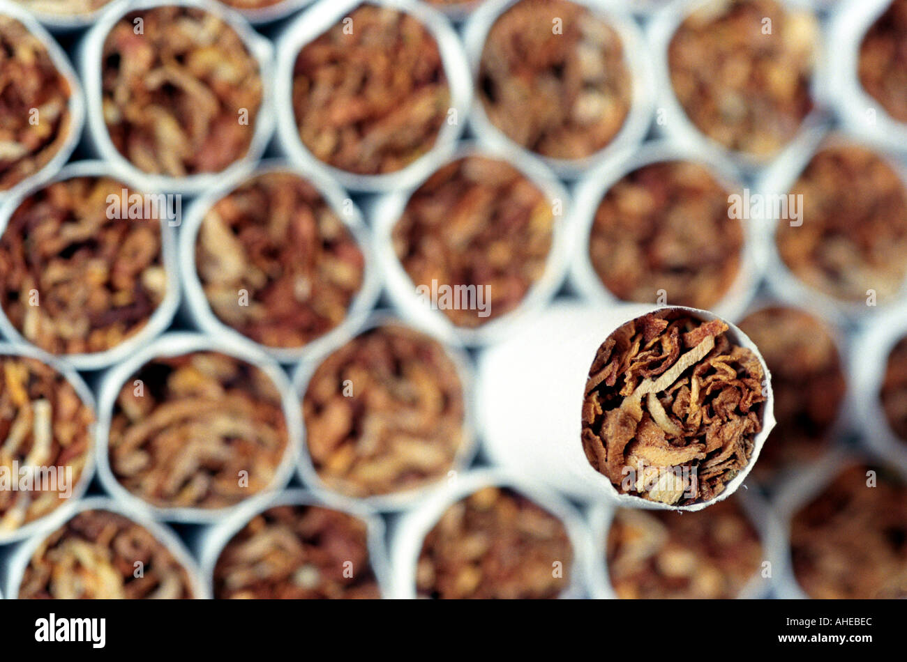 Close up of the ends of cigarettes Stock Photo
